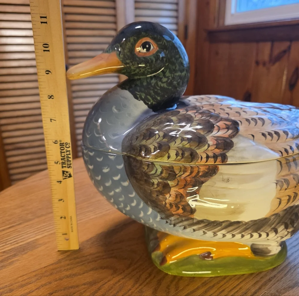 Italian Duck Tureen With Laddle 14